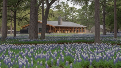 bluebonnet swamp nature center