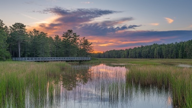 cattail marsh scenic wetlands boardwalk