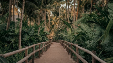 creole nature trail