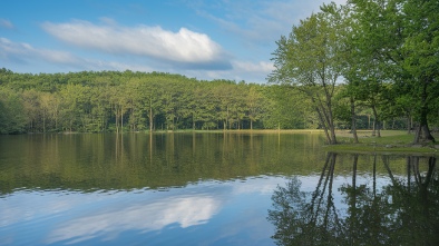 prien lake park